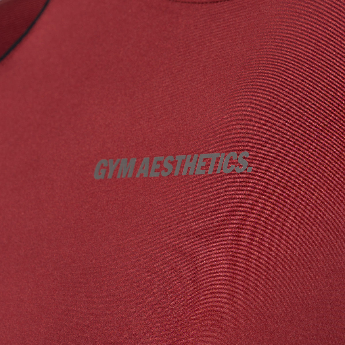 Image of Activewear Performance T Shirt breathable mesh blocking for Men
